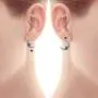 Richapex S925 Sterling Silver Earrings,Crystal Dangle Earrings Moon and Star Asymmetric Drop Earrings for Women Girls Richapex S925 Sterling Silver Earrings,Crystal Dangle Earrings Moon and Star Asymmetric Drop Earrings for Women Girls