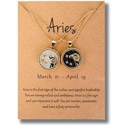 Burpada 2 Pcs Zodiac Coin Necklace 12 Constellation 14K Gold Plated Round Pendant Astrology Horoscope Necklace Gift for Women Girl