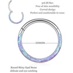 Uzgtvy 16G Opal Septum Rings Hoop Nose Ring Lip Rings Stainless Steel Hinged Segment Ring Seamless Clicker Ring Cartilage Earrings Hoop Helix Tragus Septum Piercing Jewerly