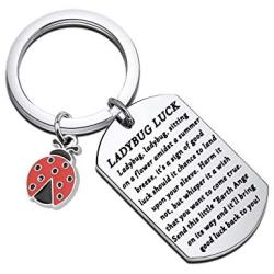 TIIMG Ladybug Keychain Ladybug Lover Gifts Ladybug Birthday Gifts Good Luck Gifts for Friend Best Friend