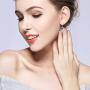 Sterling Silver Round Cubic Zirconia Crescent Moon & Star Dangle Earrings Star Jewelry for Women