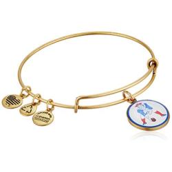 Alex and Ani Pat The Patriot Expandable Bangle Bracelet