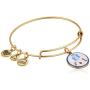 Alex and Ani Pat The Patriot Expandable Bangle Bracelet