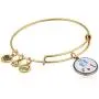 Alex and Ani Pat The Patriot Expandable Bangle Bracelet Alex and Ani Pat The Patriot Expandable Bangle Bracelet