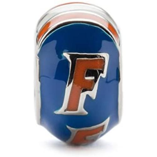 University of Florida Bead | Stainless Steel Jewelry | Hand Painted UF Charm | University Gifts | Fits Most Popular Charm Bracelets