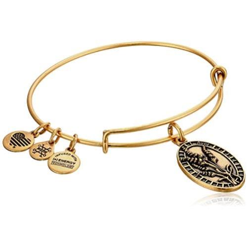 Alex and Ani Aunt Rafaelian Bangle Bracelet