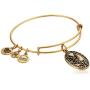 Alex and Ani Aunt Rafaelian Bangle Bracelet