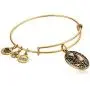 Alex and Ani Aunt Rafaelian Bangle Bracelet