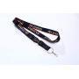 Gay Pride Lanyard ID Badge Holder Rainbow Striped LGBTQ Pride Flag Lanyard Key Chain for Keys Cell Phone Holder for Pride Parade