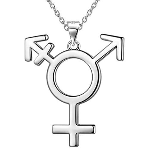 Besilver LGBT Lesbian Pride Necklace for Women Men 925 Sterling Silver Tansgender Gay Pride Earrings/Necklace Gay Pride Jewelry Gift