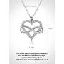 Jes & Jani Infinity Heart Necklace for Women, Love Heart Pendant with Cubic Zirconia and Infinity Necklace, 925 Sterling Silver Heart Necklace for Girlfriend