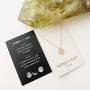 HONEYCAT Coin Disc Charm Necklace in Gold, Rose Gold, or Silver | Minimalist, Delicate Jewelry