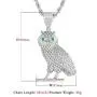 PY BLING Full Iced Out Owl Pendant 18K Gold/White Gold Plated Hip Hop Fashion Simulated Diamond CZ Pendant with Stainless Steel Rope Chain Necklace for Men Women PY BLING Full Iced Out Owl Pendant 18K Gold/White Gold Plated Hip Hop Fashion Simulated Diamond CZ Pendant with Stainless Steel Rope Chain Necklace for Men Women