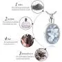 zeqingjw Butterfly Cremation Jewelry for Ashes Memorial Lockets Urn Necklace for Ashes Pendants Stainless Steel Keepsake Jewelry for Ashes zeqingjw Butterfly Cremation Jewelry for Ashes Memorial Lockets Urn Necklace for Ashes Pendants Stainless Steel Keepsake Jewelry for Ashes