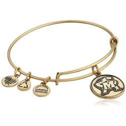 Alex and Ani University of Maryland Logo Expandable Bangle Bracelet