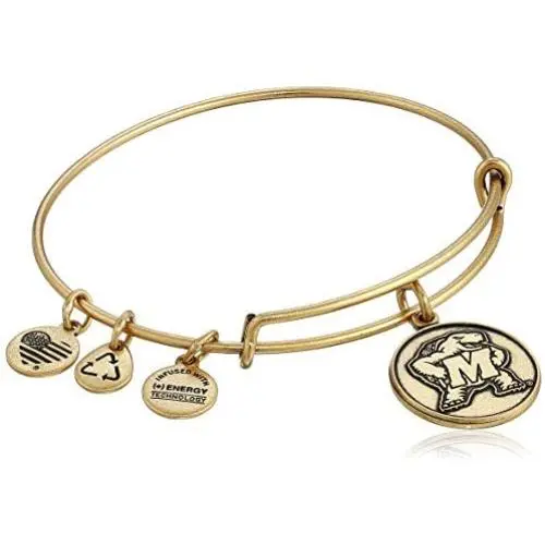 Alex and Ani University of Maryland Logo Expandable Bangle Bracelet