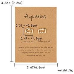 2021 New Card Packaging Horoscope Zodiac Stud Earrings 12 Constellation Astrology 18K Gold Plated Little Ear Stud for Women Girls Teens Birthday Anniversary Friendship Exquisite Jewelry Gift