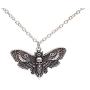 SanLan Big Skull and Dead Moth Head Insect Jewellery Butterfly Pendant Necklace