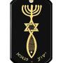 Mens Christian Messianic Seal Necklace Onyx Dog Tag Pendant 24k Gold Inscribed with Romans Bible Scripture Verses within Grafted In Symbol of Intertwined Menorah Star of David and Fish, 20'' Chain