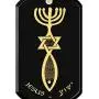 Mens Christian Messianic Seal Necklace Onyx Dog Tag Pendant 24k Gold Inscribed with Romans Bible Scripture Verses within Grafted In Symbol of Intertwined Menorah Star of David and Fish, 20'' Chain