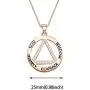 AA Recovery Symbol Cubic Zirconia Necklace Serenity Prayer AA Recovery Necklace God Serenity Courage Wisdom Sobriety Gift AA Recovery Symbol Cubic Zirconia Necklace Serenity Prayer AA Recovery Necklace God Serenity Courage Wisdom Sobriety Gift