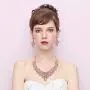 BriLove Womens Costume Elegant Crystal Flower Scroll Teardrop Statement Necklace Dangle Earrings Set BriLove Womens Costume Elegant Crystal Flower Scroll Teardrop Statement Necklace Dangle Earrings Set