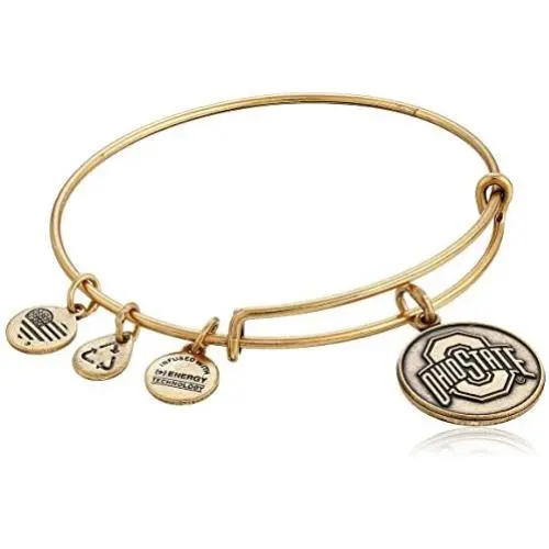 Alex and Ani Ohio State University Logo Expandable Bangle Bracelet Alex and Ani Ohio State University Logo Expandable Bangle Bracelet