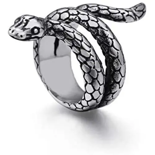 Nanafast Vintage Snake Ring Stainless Steel Snake Finger Ring Personalized Punk Animal Snake Jewelry for Women Men Size 7-12 Nanafast Vintage Snake Ring Stainless Steel Snake Finger Ring Personalized Punk Animal Snake Jewelry for Women Men Size 7-12