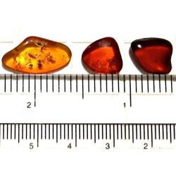 Raw Amber Flat Gemstones Very Small Set of 5 Stones