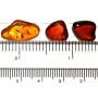 Raw Amber Flat Gemstones Very Small Set of 5 Stones