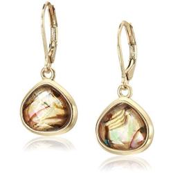 Anne Klein Womens Gold/Multi Stone Drop Earrings