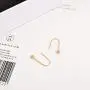 Korean Song Hye Kyo earrings earrings wild female models 18K rose gold-plated steel ear ear hook ear jewelry
