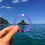 Lokai Alzheimers Cause Collection Bracelet