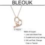 BLEOUK Cute Koala Heart Pendant Necklace Koala Gift Koala Lover Gift You’re My Koala Necklace Koala Gift for Girlfriend Wife BLEOUK Cute Koala Heart Pendant Necklace Koala Gift Koala Lover Gift You’re My Koala Necklace Koala Gift for Girlfriend Wife
