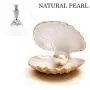 AIWENXI Pearl Urn Cremation Necklace Cremation Jewelry for Ashes Keepsake Memorial Pendant Locket for Women AIWENXI Pearl Urn Cremation Necklace Cremation Jewelry for Ashes Keepsake Memorial Pendant Locket for Women