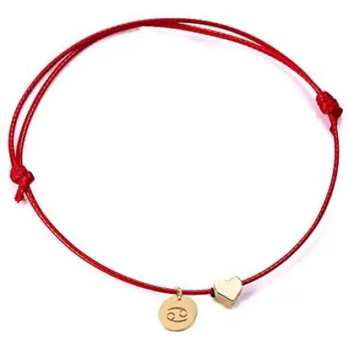 Ailiessy Love Heart Constellation Bracelet for Women Handmade Braided Rope Round Disc Coin Zodiac Bracelet Charm Fashion Red String Friendship Bracelet Jewelry