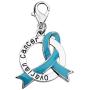 LBSBO Ovarian Cancer Gift Ovarian Cancer Awareness Teal Ribbon Clip-on Charm/Necklace Ovarian Cancer Support Jewelry