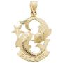 US Jewels 14k Yellow Gold Zodiac Pisces Pendant