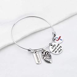 SEIRAA CHD Awareness Jewelry Heart Disease CHD Warrior Gift CHD Messed with The Wrong Chick Bracelet