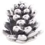 EVESCITY Limited Edition Pinecone Pine-cone 925 Sterling Silver Bead For Charms Bracelets For Charm Bracelets Like Pandora & Others Best Jewelry Gifts for Her
