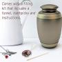 Lola Bella Gifts and Spirit Lala Cardinal Cremation Urn for Ashes Pendant Necklace with Red Feathered Soul Poem Card Gift Box Grief Memorial