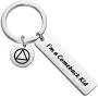 FOTAP Sobriety Gifts AA Recovery Jewelry Im A Comeback Kid Keychain Alcoholics Anonymous Gifts for Sober Sobriety FOTAP Sobriety Gifts AA Recovery Jewelry Im A Comeback Kid Keychain Alcoholics Anonymous Gifts for Sober Sobriety