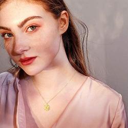 Agvana Constellation Necklaces for Women 14k Gold Plated 925 Sterling Silver CZ Coin Zodiac Pendant Fashion Jewelry Unique Gifts for Women Girlfriend Bestfriend Girls&nbs