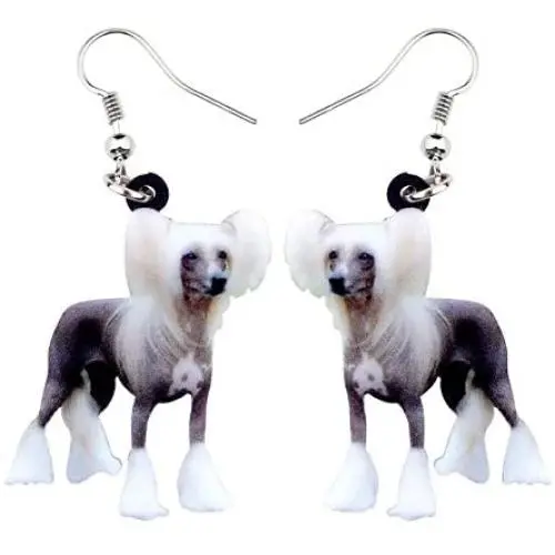 NEWEI Acrylic Chinese Crested Sweet Dog Earrings Drop Dangle Jewelry For Girl Women Gift Charms