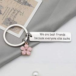 Eigso Funny Friendship Gift We are Best Friends Because Everyone Else Sucks Appreciation Keychain Gift for Best Friends(Best Friends Suck-KR)