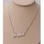 Aoloshow Personalized Name Necklace Bracelet Custom Made Any Names Jewelry Stainless Steel Aoloshow Personalized Name Necklace Bracelet Custom Made Any Names Jewelry Stainless Steel