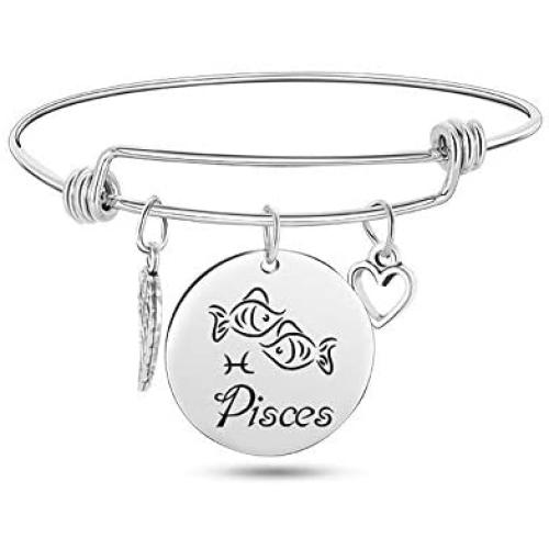 TOOPNK Zodiac Bangle Bracelet for Women Silver Constellation Bracelet Stainless Steel Expandable Wire Bracelet Birthday Gifts for Women Girls