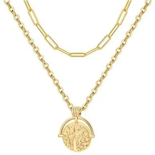 SANNYRA Layered Coin Necklace 14K Gold Plated Paperclip Link Chain Medallion Pendant Necklace Jewelry Gift for Women SANNYRA Layered Coin Necklace 14K Gold Plated Paperclip Link Chain Medallion Pendant Necklace Jewelry Gift for Women