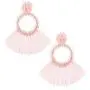 Beaded Tassel Earrings for Women Fashion Girls Teens, Drop Dangle Bohemian Accessories