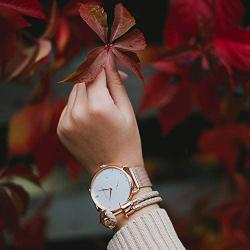 PAUL HEWITT Anchor Bracelet Women PHREP - Sailcloth Bracelet for Women, Leather Bracelet for Women (Hazelnut) with Anchor Jewelry Made of IP Stainless Steel (Rose Gold), Beautiful Jewelry for Women